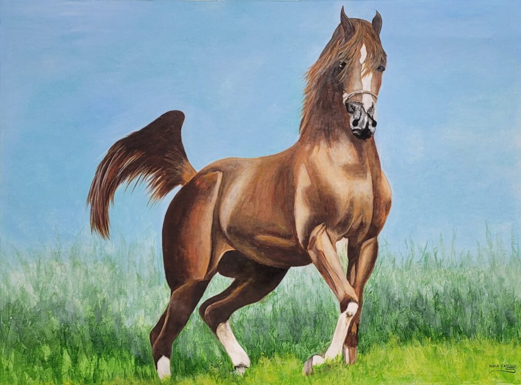 caballos (1)