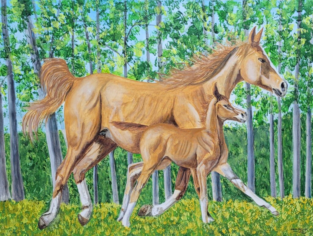 caballos (10)