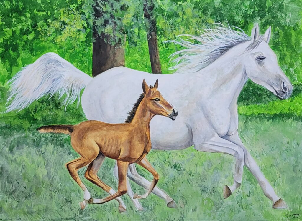 caballos (11)