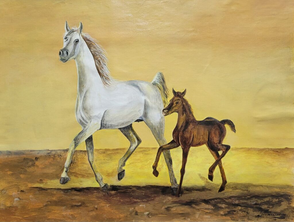 caballos (12)