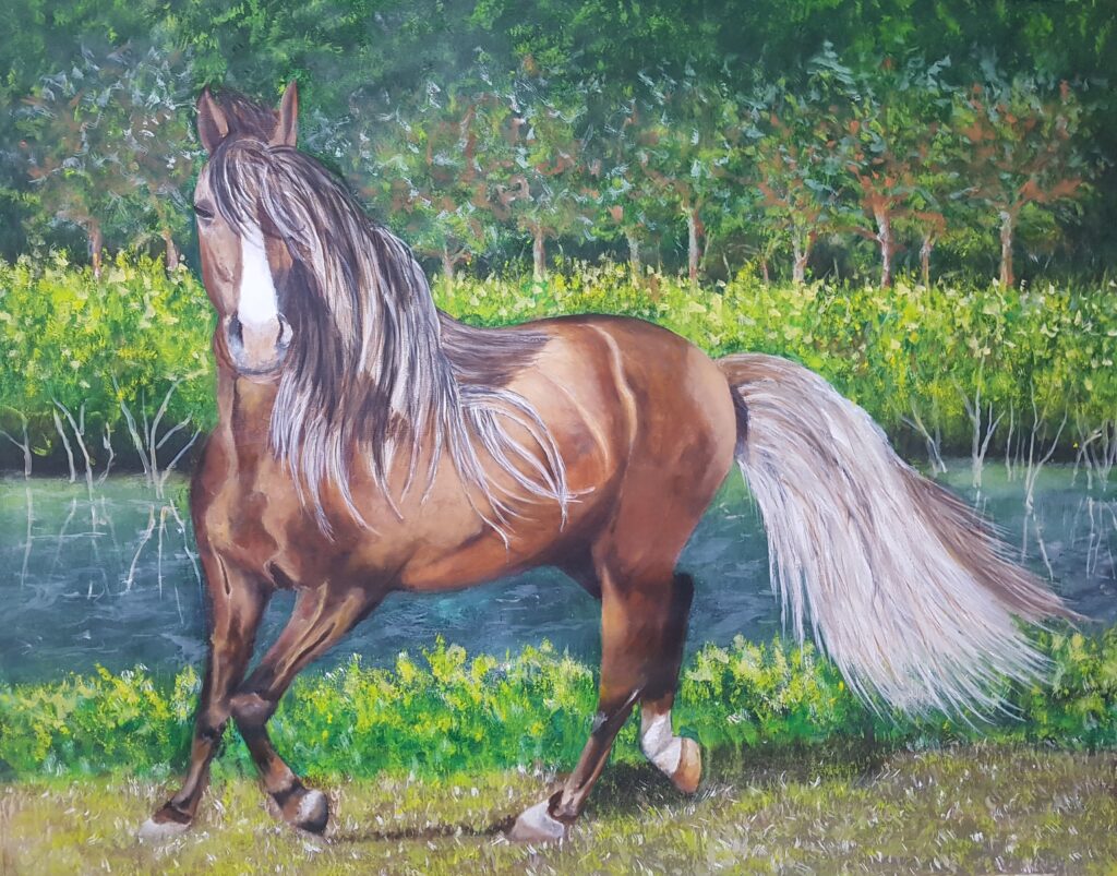 caballos (14)