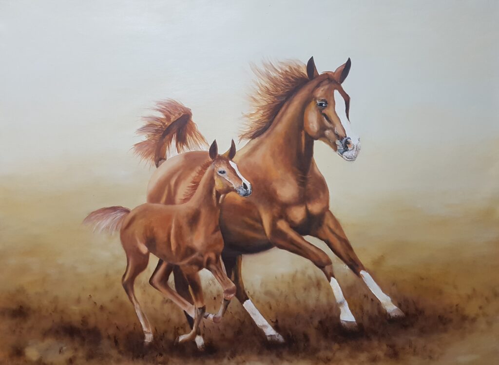 caballos (15)