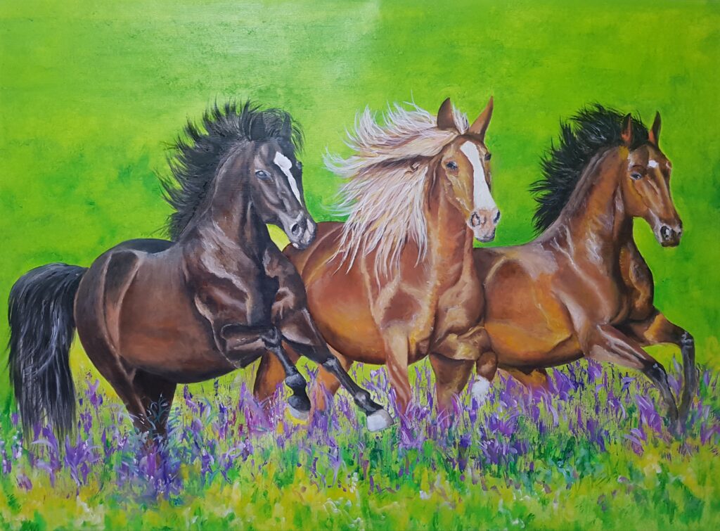 caballos (16)
