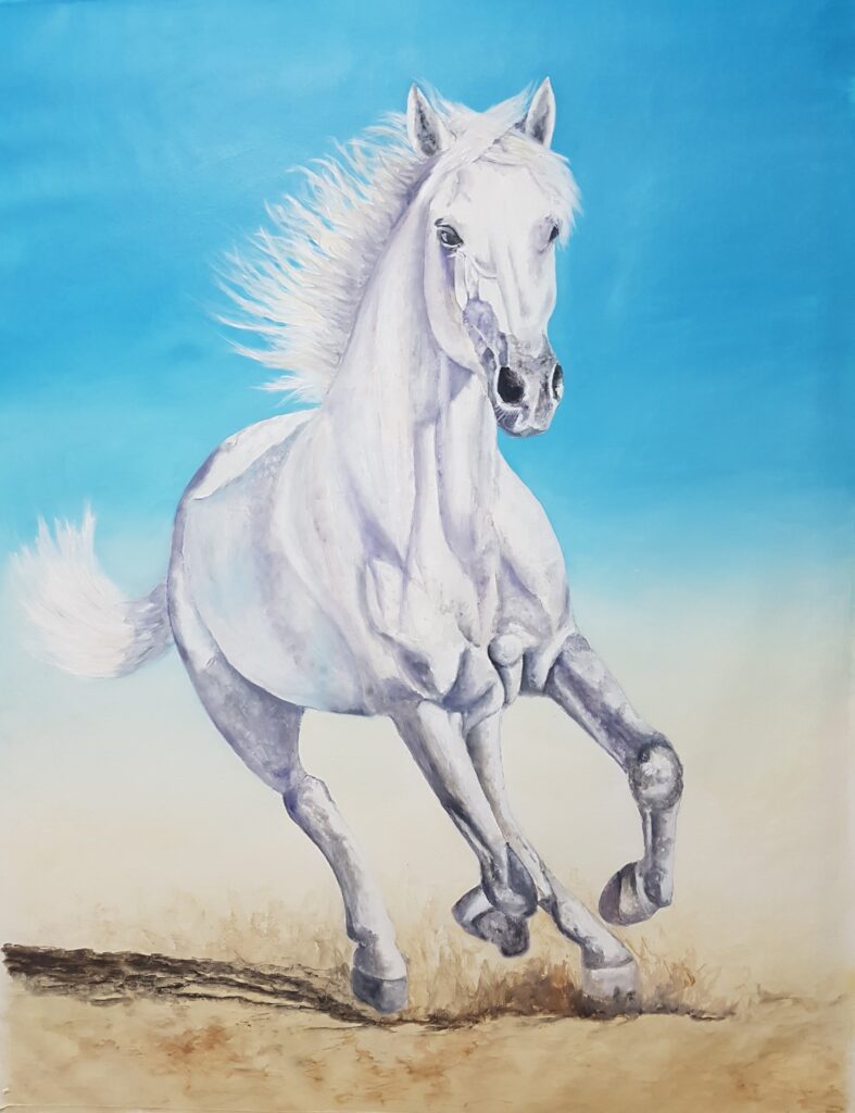 caballos (17)