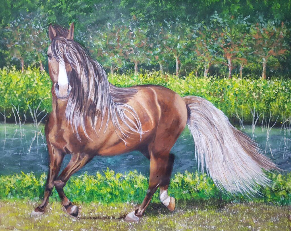 caballos (18)