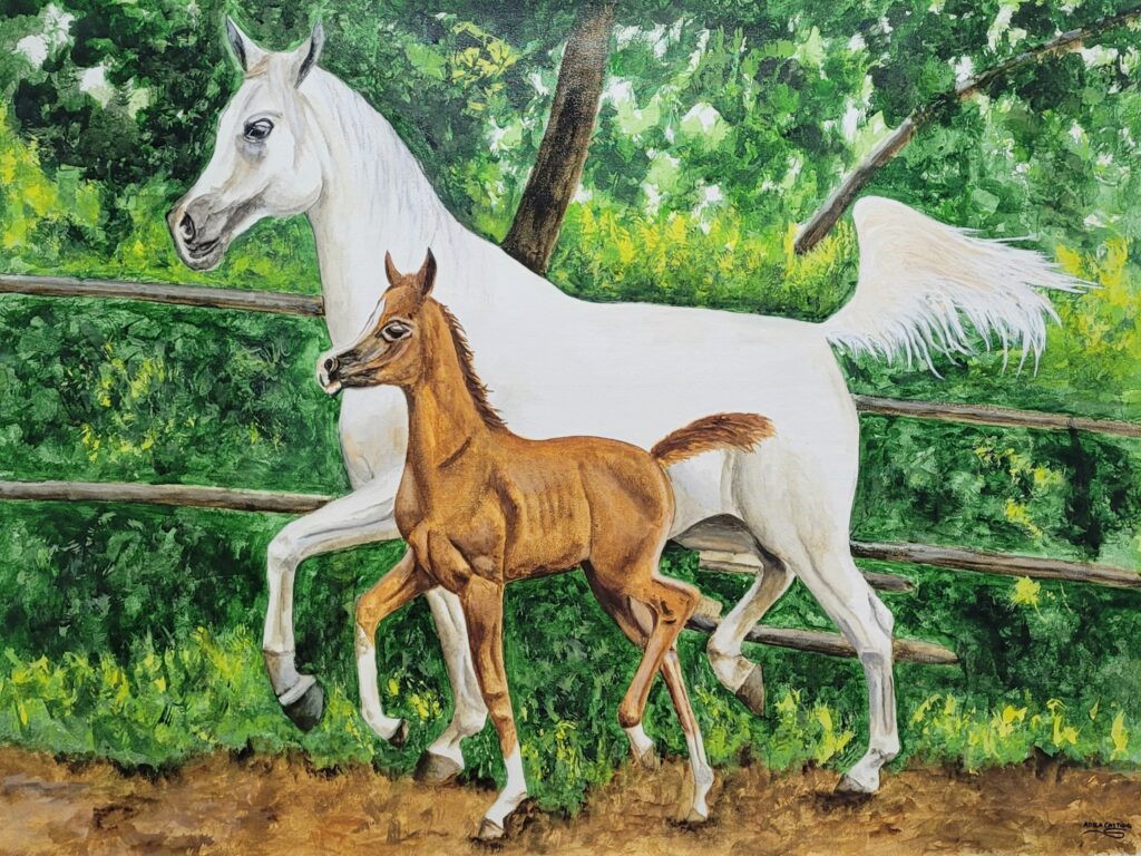 caballos (22)