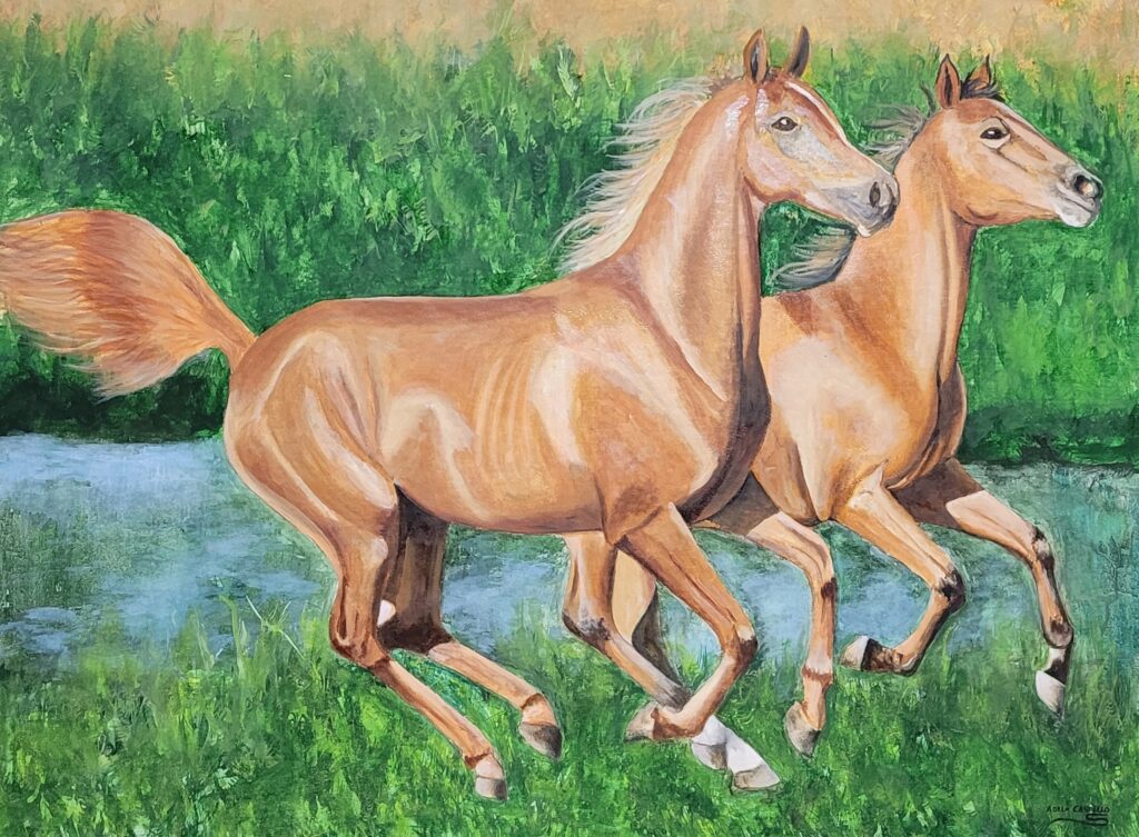 caballos (3)
