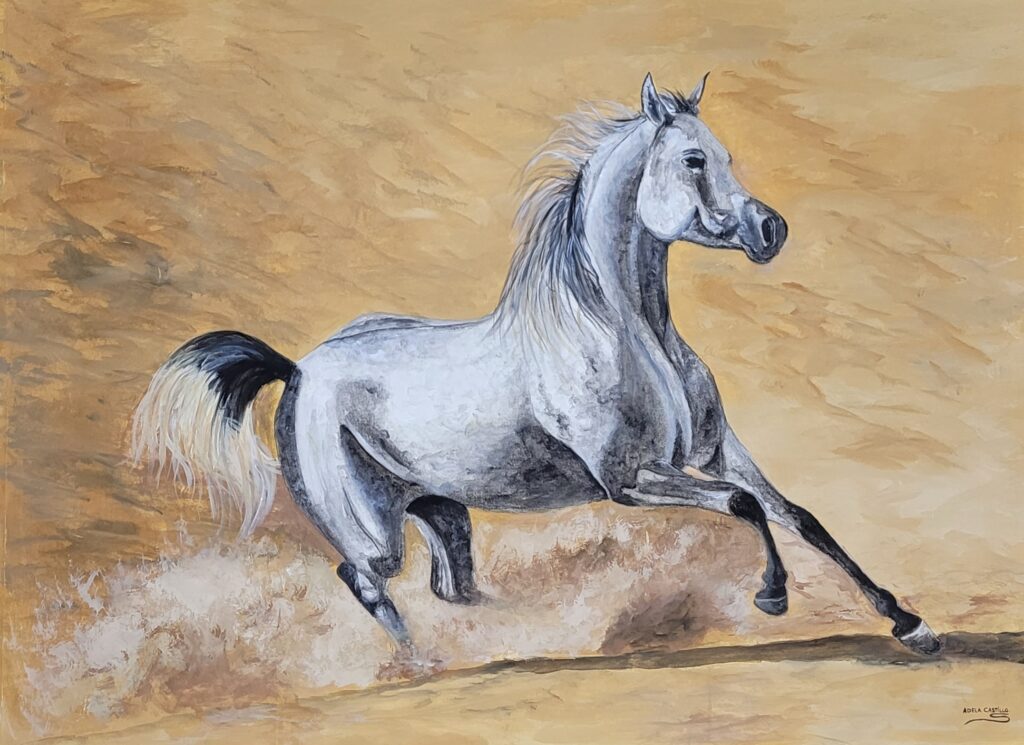 caballos (4)