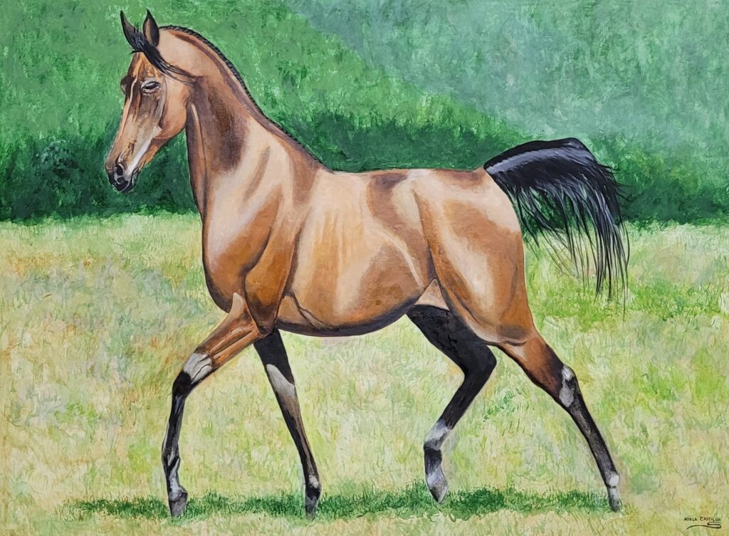 caballos (5)