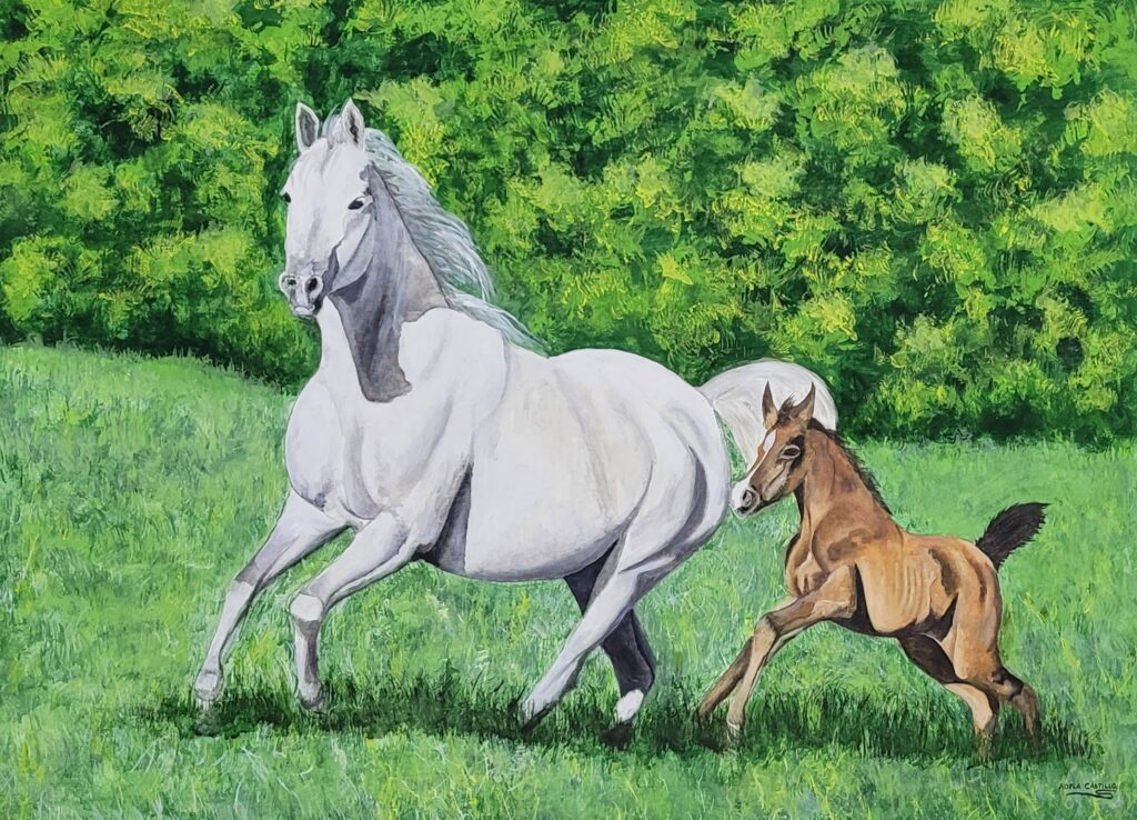caballos (6)