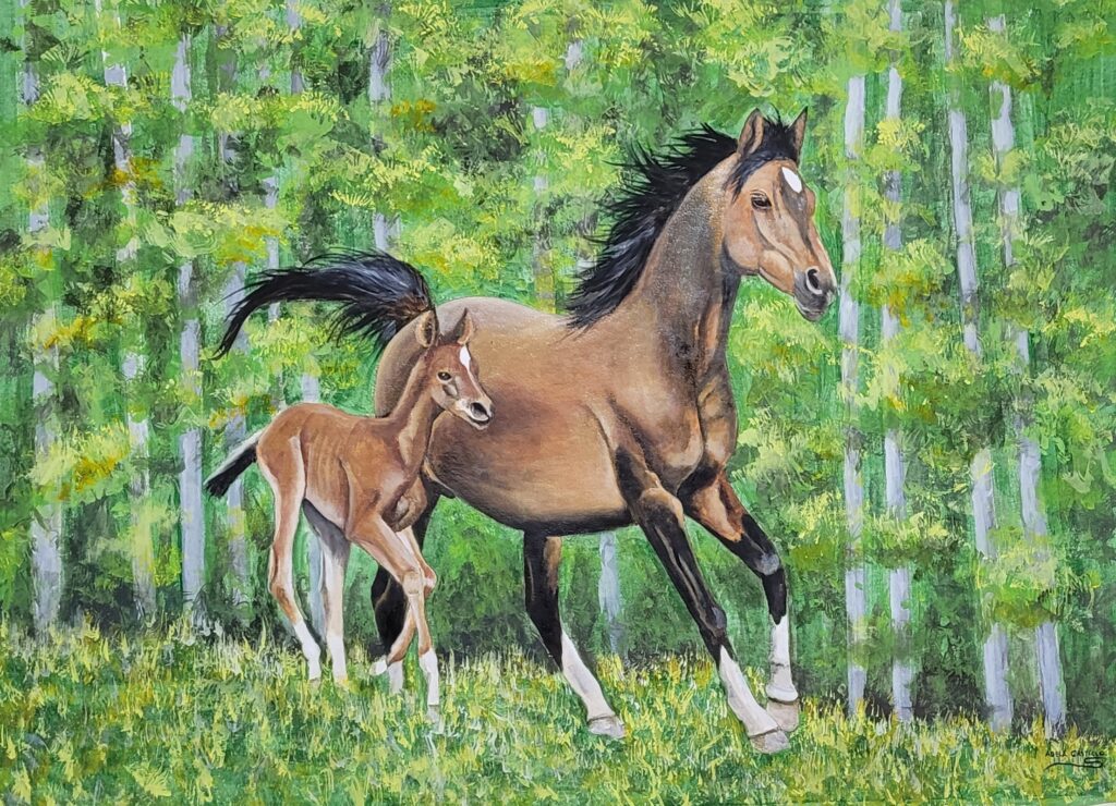 caballos (7)