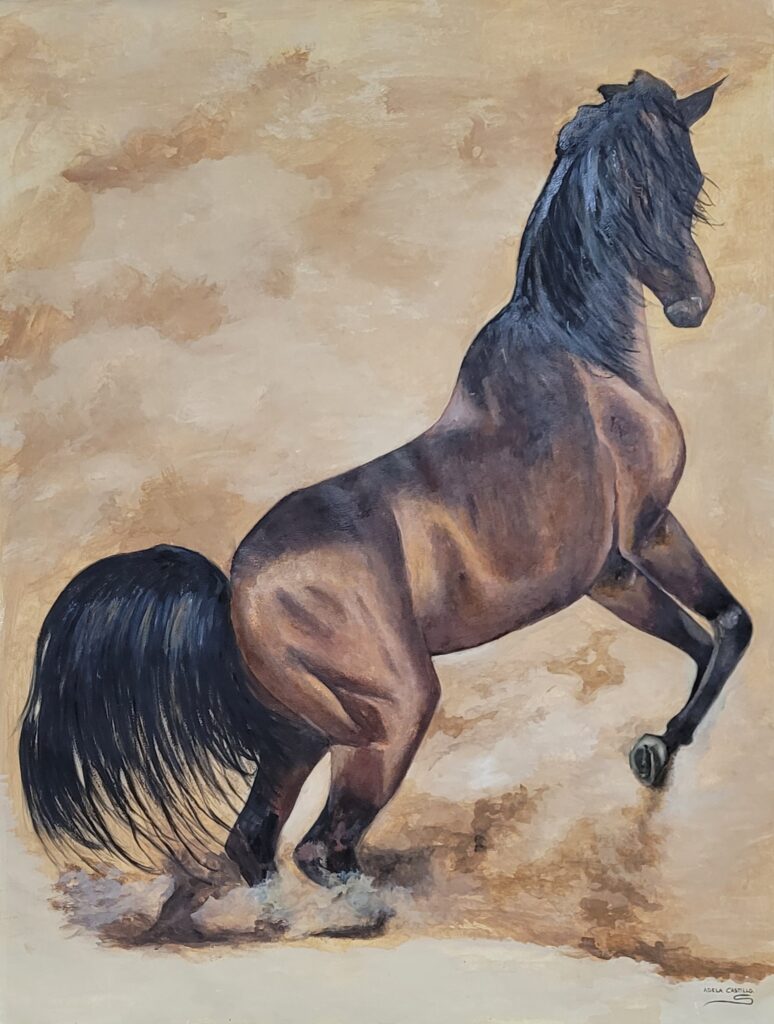 caballos (9)