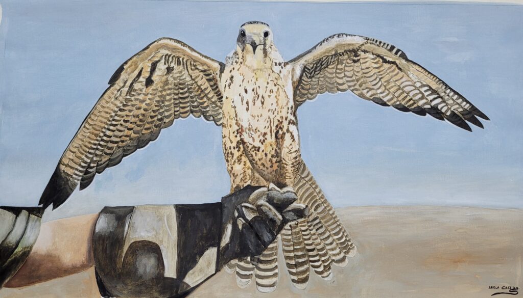halcones (6)