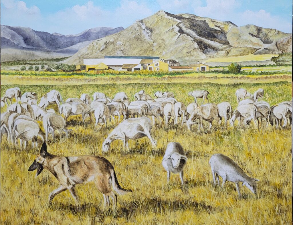 puebla de don fadrique (21)